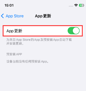 炉霍苹果15维修中心如何让iPhone15APP自动更新