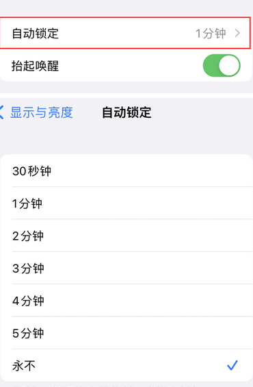 炉霍苹果换屏维修分享无法调整iPhone自动锁屏的时间怎么办